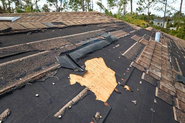 Efficient Roof Replacement Solutions Near You