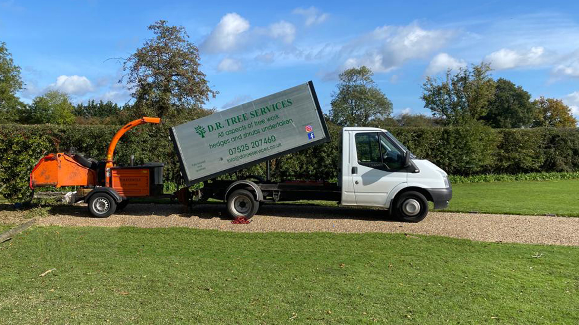 Tree Care Solutions for Suburban Communities